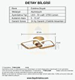 TT405-2-ESK TT Aydınlatma Eskitme Boyalı 2 li Kare  ( 3 Renk Işık Modüllü ) Led Avize