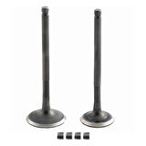 Motobir Emme Egzoz Sübap Takımı Honda Fizy 125