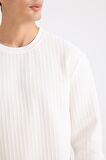 DeFacto Regular Fit Bisiklet Yaka Jakarlı Sweatshirt D5391AX24AUWT32