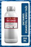 Okyanus Esansiyel Uçucu Yağ Esans Koku Yağı Hobi Esans Mum Sabun Oda Kokusu 250ml