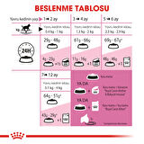 1 Kg Vakumlu Royal Canin Kitten Yavru Kedi Maması Yüksek Proteinli 