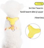 Yacel Köpek Tasması ve Gezdirme Halatı Gögüs ve Sırt Setli (Reflektörlü) (Sarı, S)