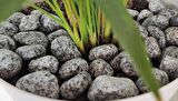 Benekli Dolomit Taş 25 Kg 6-10 Cm Granit Taş Benekli Taş