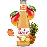 Kızılay Mango ve Ananas Aromalı Maden Suyu 200 ml x 24 Adet