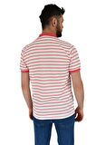 Erkek Çizgili Polo Yaka Tişört Waffle BGL-ST02790