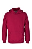 Erkek Kapüşonlu Basic Sweatshirt R2248 BGL-ST03192