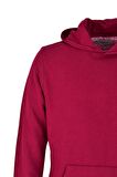 Erkek Kapüşonlu Basic Sweatshirt R2248 BGL-ST03192