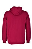 Erkek Kapüşonlu Basic Sweatshirt R2248 BGL-ST03192