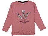Kız Çocuk Mevsimlik Set Of Tüy Sweatshirt BGL-ST03653