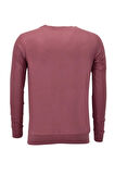 Erkek Spor Mevsimlik Sıfır Yaka Sweatshirt BGL-ST03933