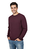 Erkek Sıfır Yaka Petek Doku Regular Fit Sweatshirt BGL-ST04950