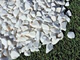 Dolomit Taş Beyaz Taş 4 Kg 1-2 Cm Dere Taşı Çakıl Taşı Dolamit