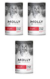 Molly Kuzu Etli Jöleli Köpek Konservesi 400 Gr X 3 Adet