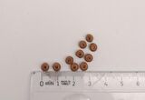 4mm 10 Adet Ahşap Yuvarlak Boncuk