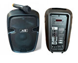 ACE AUDIO PAQ-10 120 WATT ŞARJLI AMFİ