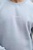 Erkek Bisiklet Yaka 3İplik Baskılı Sweatshirt Açık Gri - 5012-1