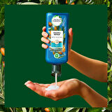 Herbal Essences Bio:Renew Fas Argan Yağı Onarıcı Şampuan 400 Ml