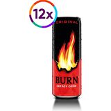 Burn Enerji İceceği 250 Ml 12 Adet