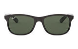 Ray-Ban RB 4202 6069/71 Unisex Güneş Gözlüğü
