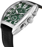 DAVİD GÜNER ERKEK KOL SAATİ S.DG-8707GB-J10