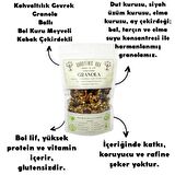 GRANOLA KAHVALTILIK GEVREK BOL KURU MEYVELİ AYÇEKİRDEKLİ DUT ÜZÜM ELMA VE BAL TARÇIN VEGAN ŞEKERSİZ GLUTENSİZ 240GR