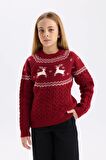 Kız Çocuk Regular Fit Bisiklet Yaka Kazak