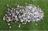 Garden Moda Dere Çakıl Taşı 4 Kg 7-15 Mm Mıcır Dere Taşı Dolomit Taş Teraryum Akvaryum Taşı Peyzaj Süs Taşı