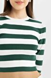 DeFacto Coool Slim Fit Çizgili Bisiklet Yaka Kazak X6888AZ24WNGN311