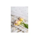 Apricitas Home Yatak Örtülü Nevresim Set Abeille Bej Çift Kişilik