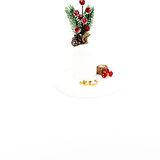 Biem Cartier Model Çelik Halka Küpe