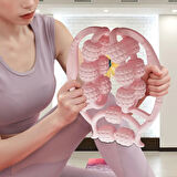 15 Tekerlekli Bacak Boyun Kol Masaj Aleti (2818)