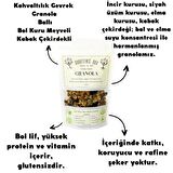 GRANOLA KAHVALTILIK GEVREK BOL KURU MEYVELİ KABAK ÇEKİRDEKLİ İNCİR ÜZÜM ELMA KURUSU VEGAN 100GR