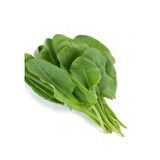 North Star Seed Ekşi Otu- Kuzu Kulağı 2Gr