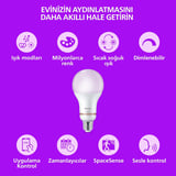 Philips Smart LED Ampul A60 E27 60W Eşdeğer RGB - Google Home, Alexa, HomeKit ve Matter uyumlu