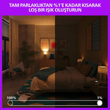 Philips Smart LED Ampul A60 E27 60W Eşdeğer RGB - Google Home, Alexa, HomeKit ve Matter uyumlu