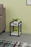 CMK Store Metal Ahşap Dekoratif Çok Amaçlı Raf 2 Katlı Banyo Mutfak Rafı Çiçeklik Organizer Beyaz