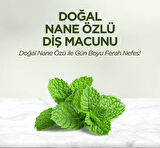 Eyüp Sabri Tuncer Doğal Diş Macunu 90 Gr Nane Özlü