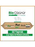 Sleepy Bio Yüzey Temizlik Havlusu 50 Adet Çayağacı Misket Limonlu