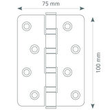 Canex Paslanmaz Menteşe 2.2 mm Oval Sarı