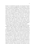 Bayan Ming'in Hiç Olmayan On Çocuğu