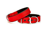 Köpek Boyun Tasma 3*55 cm Kırmızı