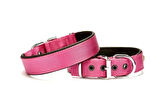 Softlu Köpek Boyun Tasması 3 cm x 55 cm Mor