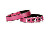 Softlu Köpek Boyun Tasması 2 cm x 40 cm Mor