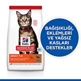 Hill's Kuzu Etli Yetişkin Kedi Maması 10 Kg