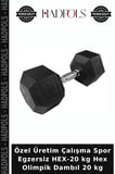 Özel Üretim Çalışma Spor Egzersiz HEX-20 kg Hex Olimpik Dambıl 20 kg