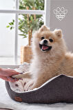Petlife Medium Evcil Hayvan Yatağı Tina - Antrasit