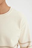 DeFacto Comfort Regular Fit Rahat Kalıp Bisiklet Yaka Çizgili Kalın Sweatshirt D2397AX24AUER42