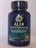 Alfa Gliserofosfokolin Kapsül (ALPHA GLYCERYLPHOSPHORYLCHOLİNE CAPSULE)