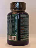 Probiyotik Kapsül (Probiotics Capsule)
