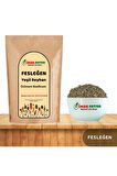 Fesleğen-Yeşil Reyhan 100g